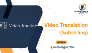 Video Translation (Subtitling)